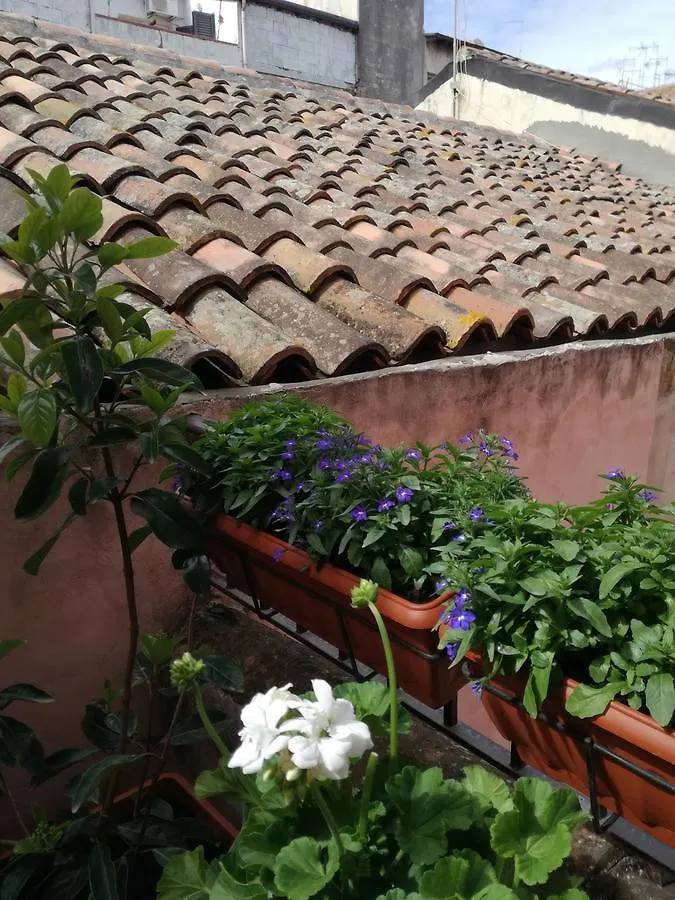 Vendégház Altevolte Rooms Catania-Fontanarossai nemzetközi repülőtér